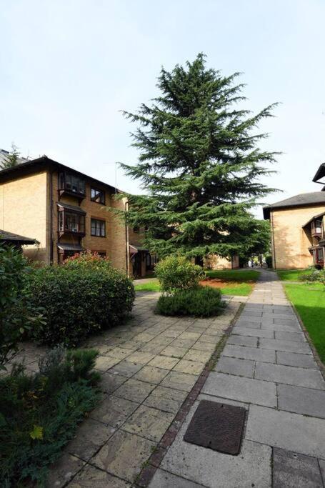 Spacious Walthamstow Londres