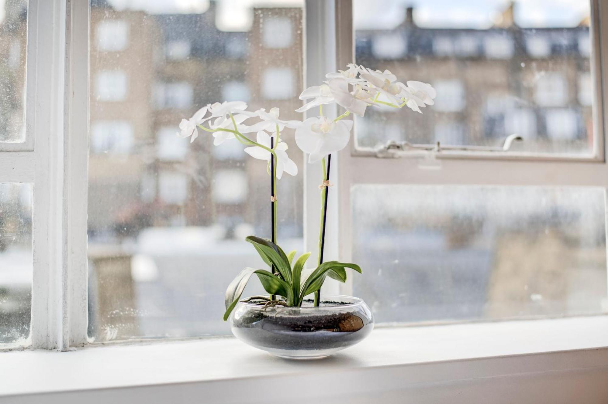 Cozy Studio In London, Paddington Station