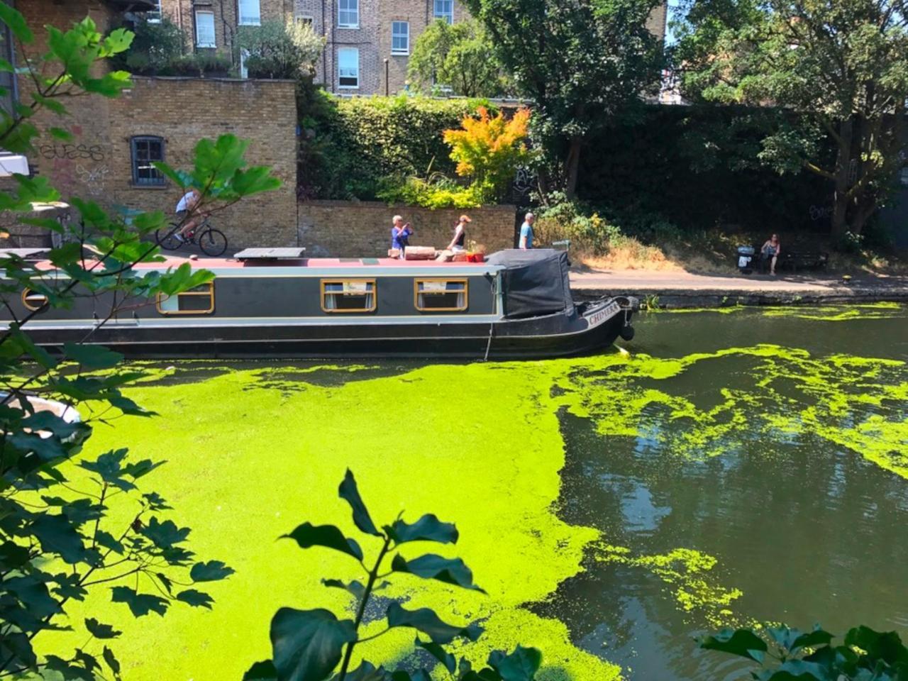 Urban Oasis With Views In Old St * Londres