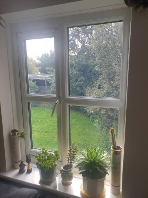 Peaceful On Sharing Flat In Wimbledon Londres