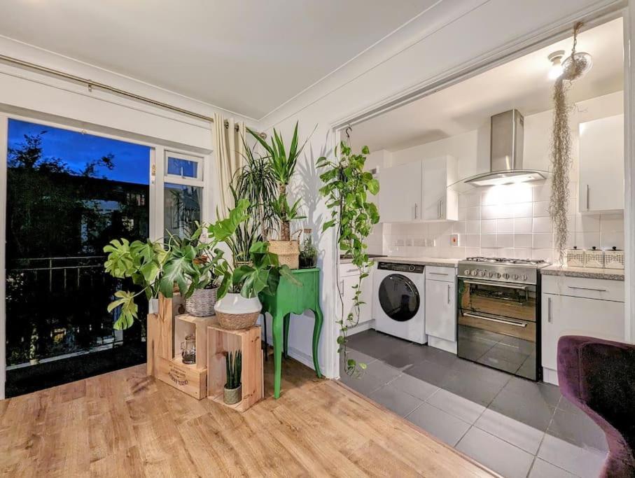 Large, Plant Filled Flat With Balcony Appartement Londres