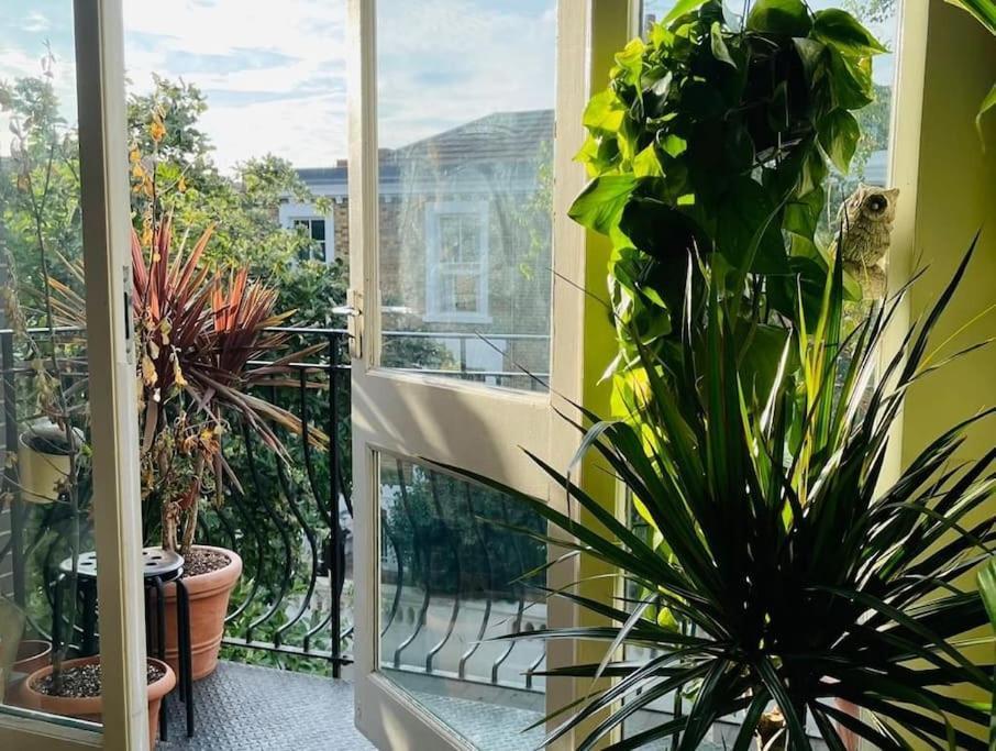 Large, Plant Filled Flat With Balcony Appartement