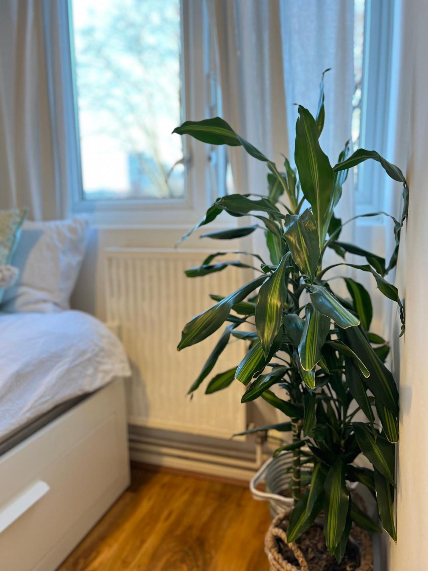 3-bedroom In The Heart Of
