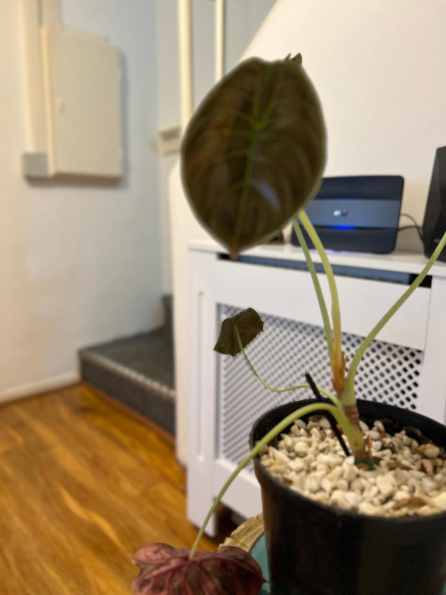 Apartamento 3-bedroom In The Heart Of