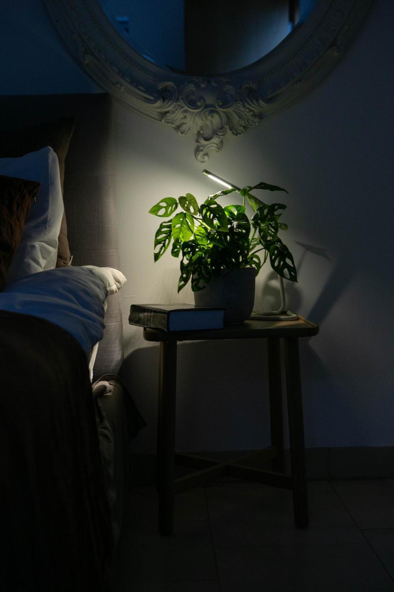 The Luxury Hotel Londres