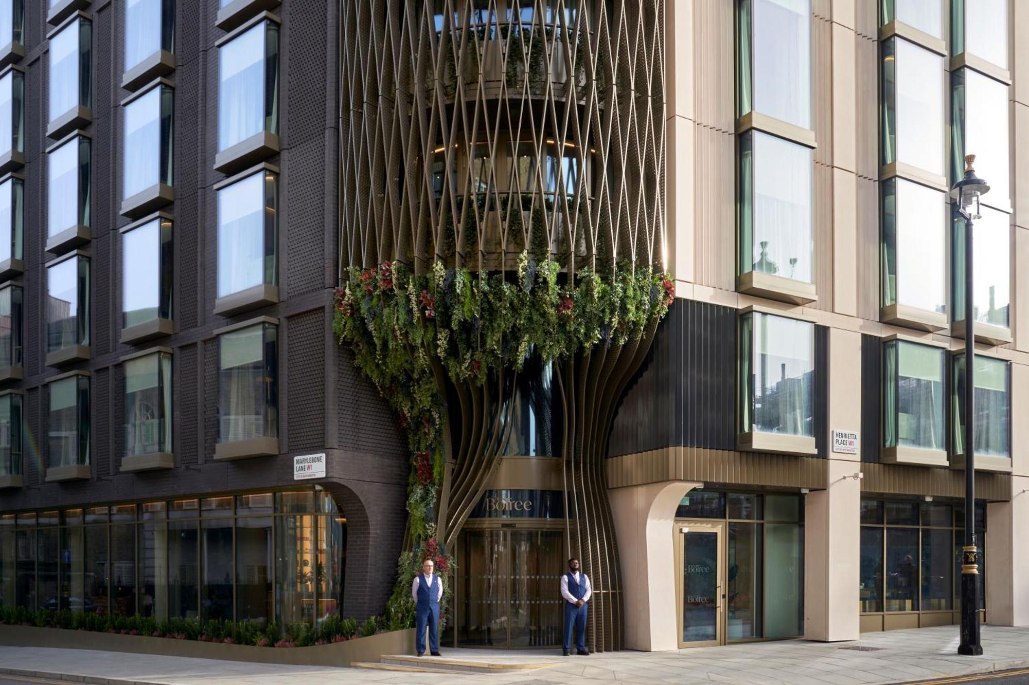 The Botree - Preferred And Londres