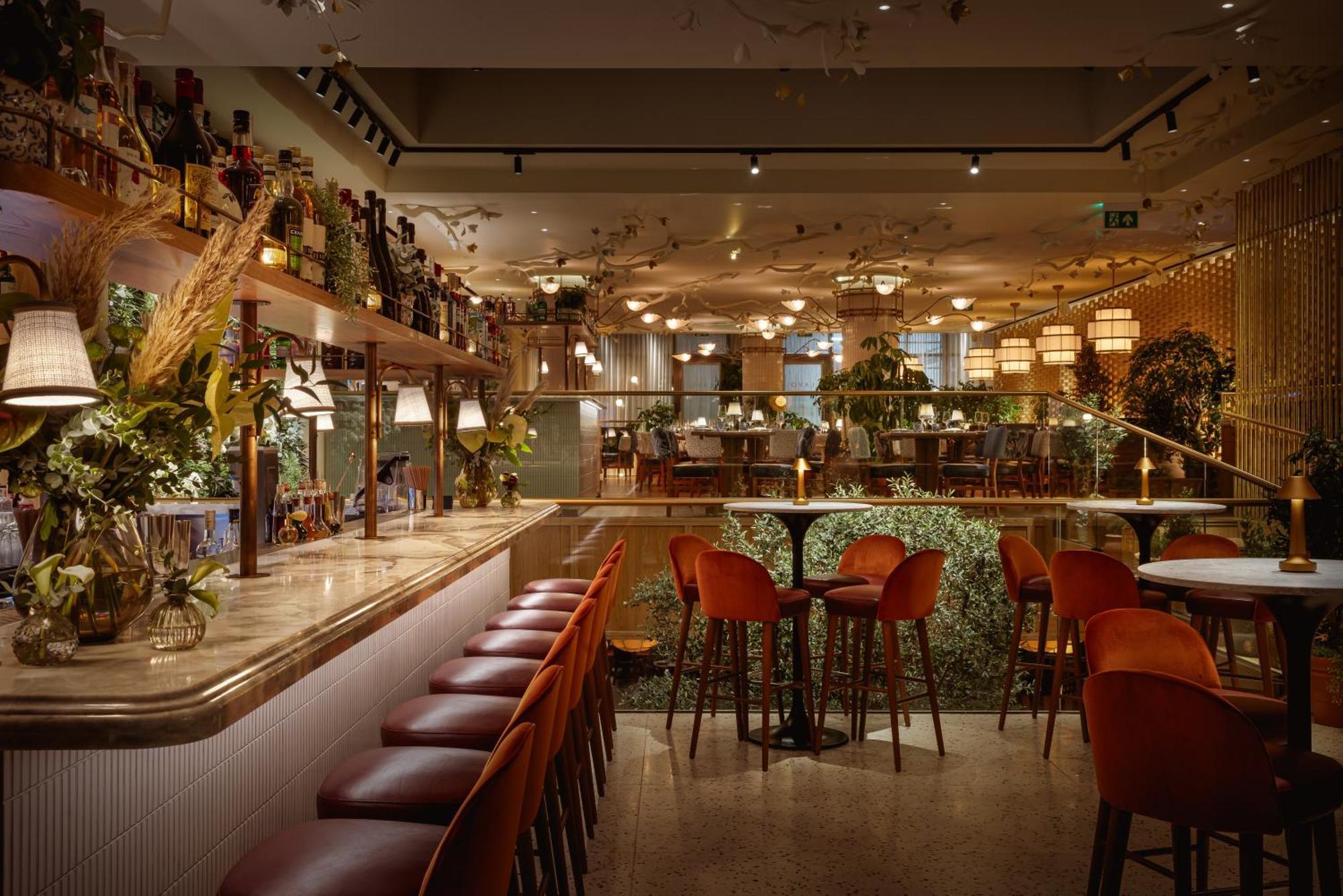 The Botree - Preferred And Londres