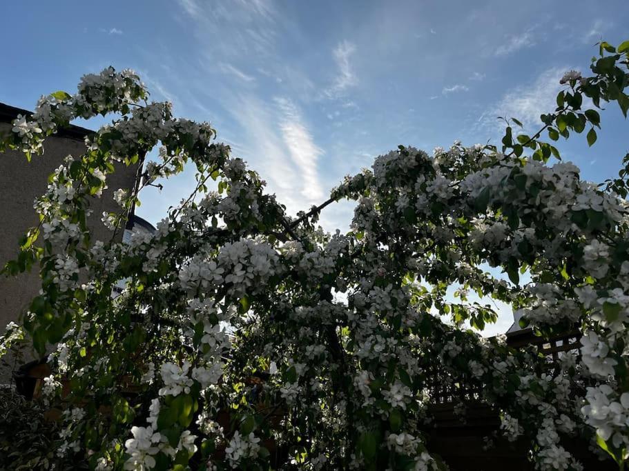 Hébergement de vacances A Beautiful And Welcoming And Garden Londres