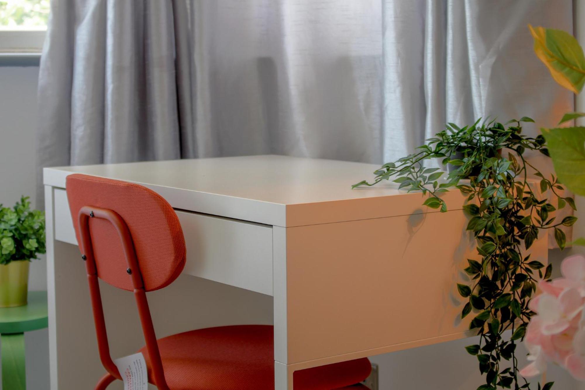 Luxury Boutique Studio *
