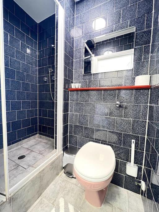 Stylish Ground Floor Garden Flat Nr Apartamento Londres