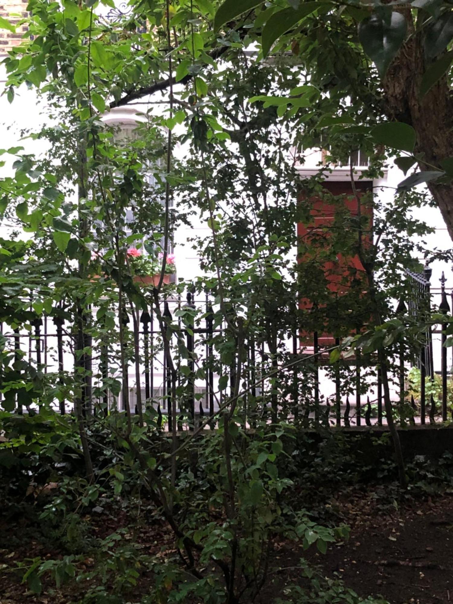 Gorgeous Grade Ii Listed Georgian House - Leafy Square Views - Hébergement de vacances Londres
