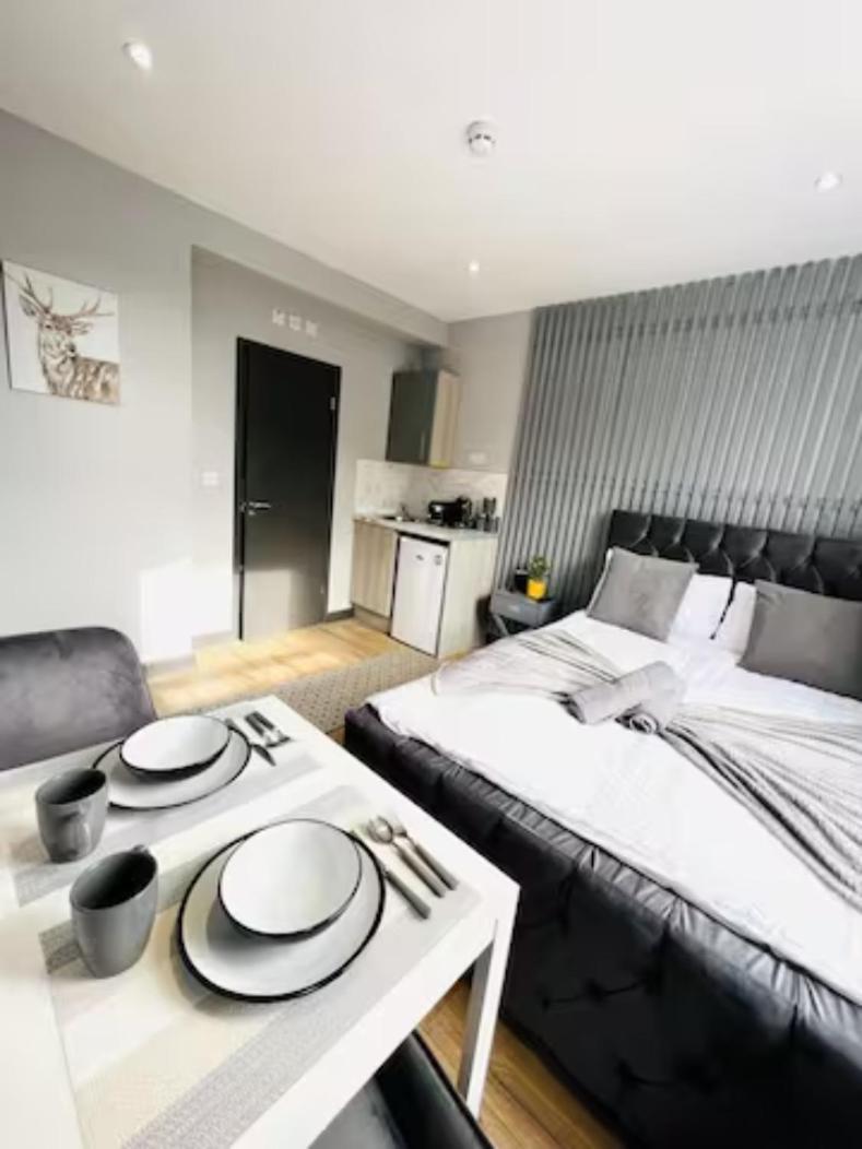 Apartahotel Next To Emirates Stadium Holloway *