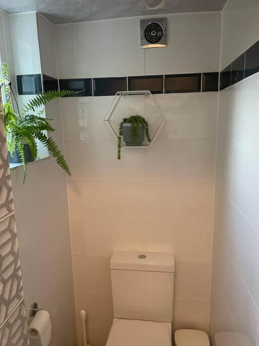 Apartamento West Stunning Garden Flat - Period Features Londres
