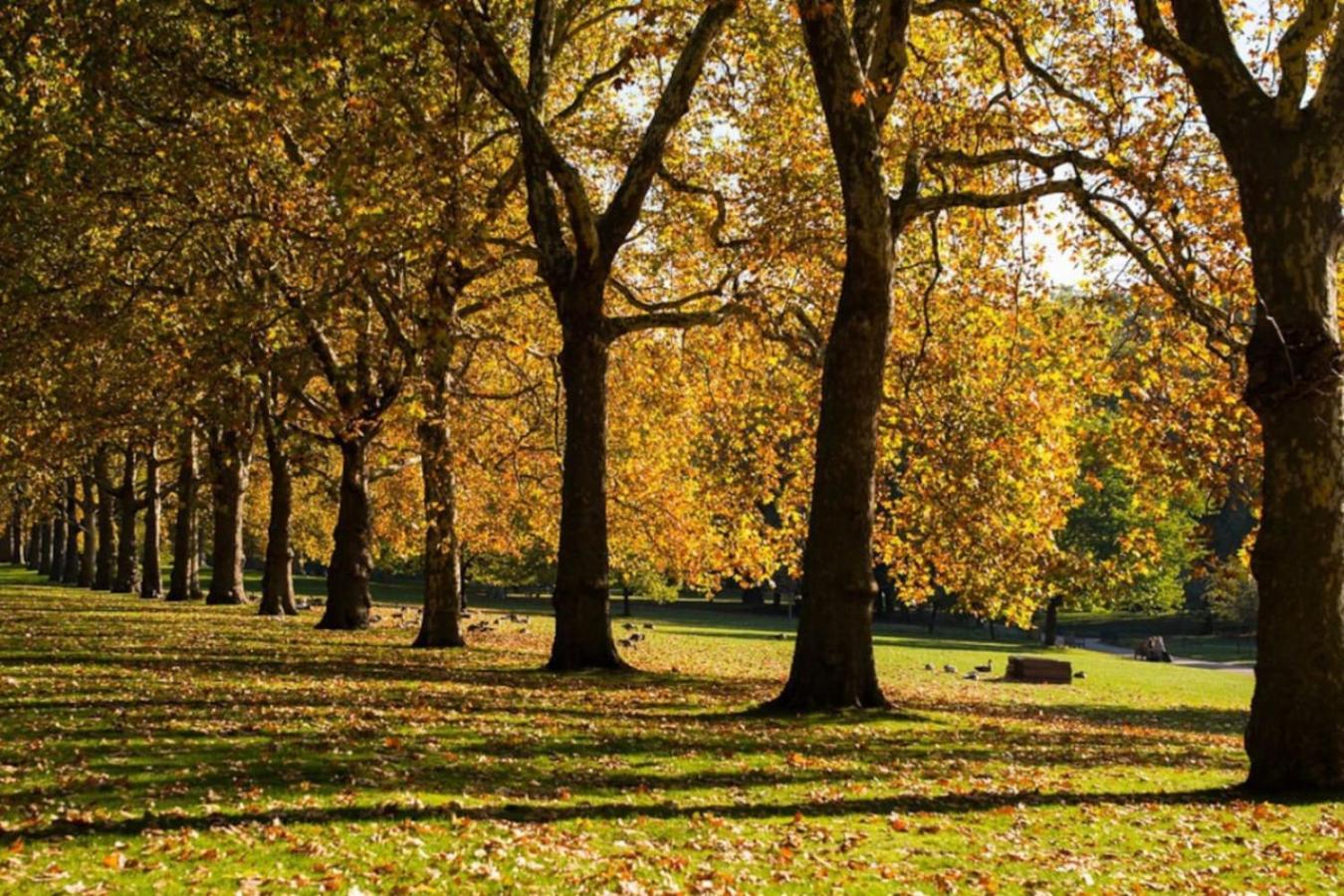 Appartement Beautiful Notting Hill Londen
