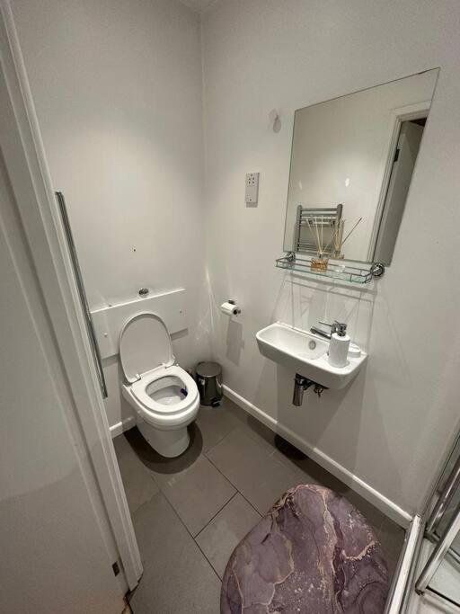 Piccadilly Living 1 Bedroom Flat In Vr11