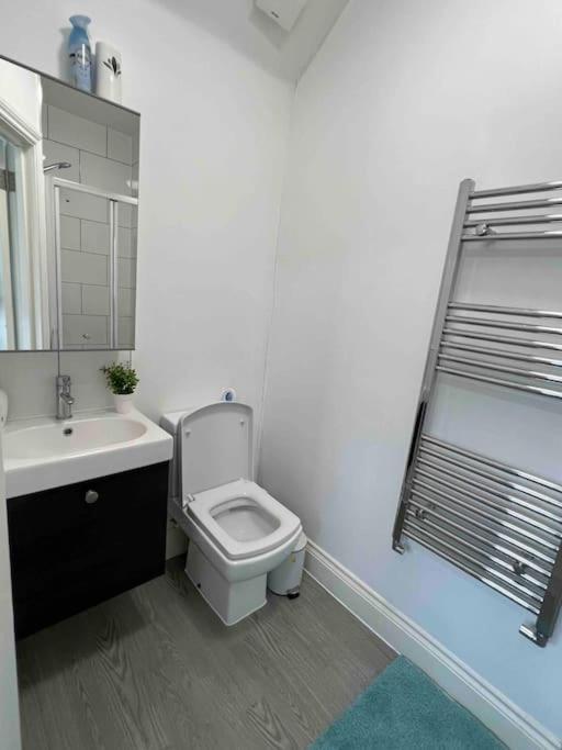Charming 30min To Apartment London
