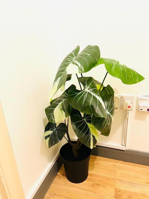 Appartement Excellent Two Bedroom Flat In *