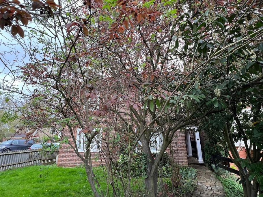 3 Bed Luxury House, 10 Min Walk To Underground
