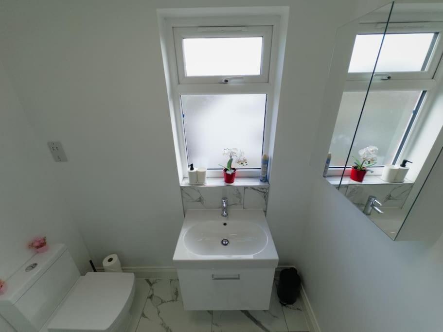 Apartamento Ideal Loft 30min To Londres