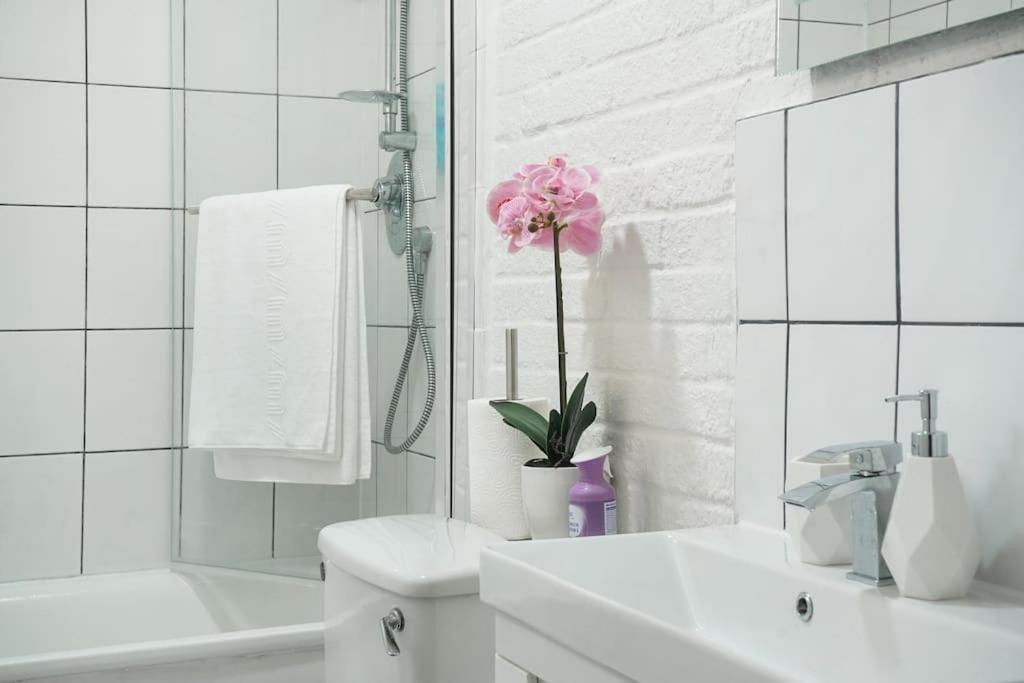 2 Bed Garden Flat Sleeps 6 Close To Brixton Appartement Londres