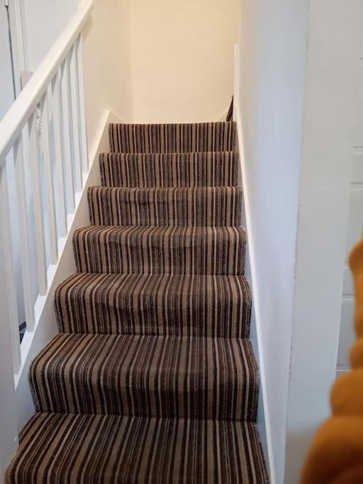 Spacious 3 Bed Flat Opp Springfield Park, Hackney. * Londres