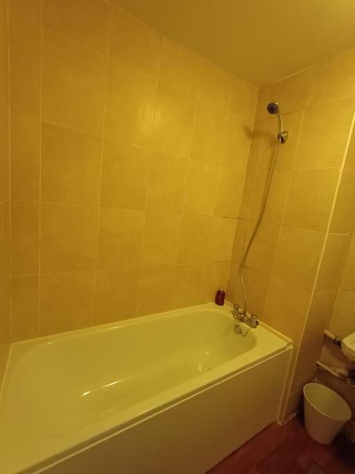 Apartamento Spacious 3 Bed Flat Opp Springfield Park, Hackney. Londres