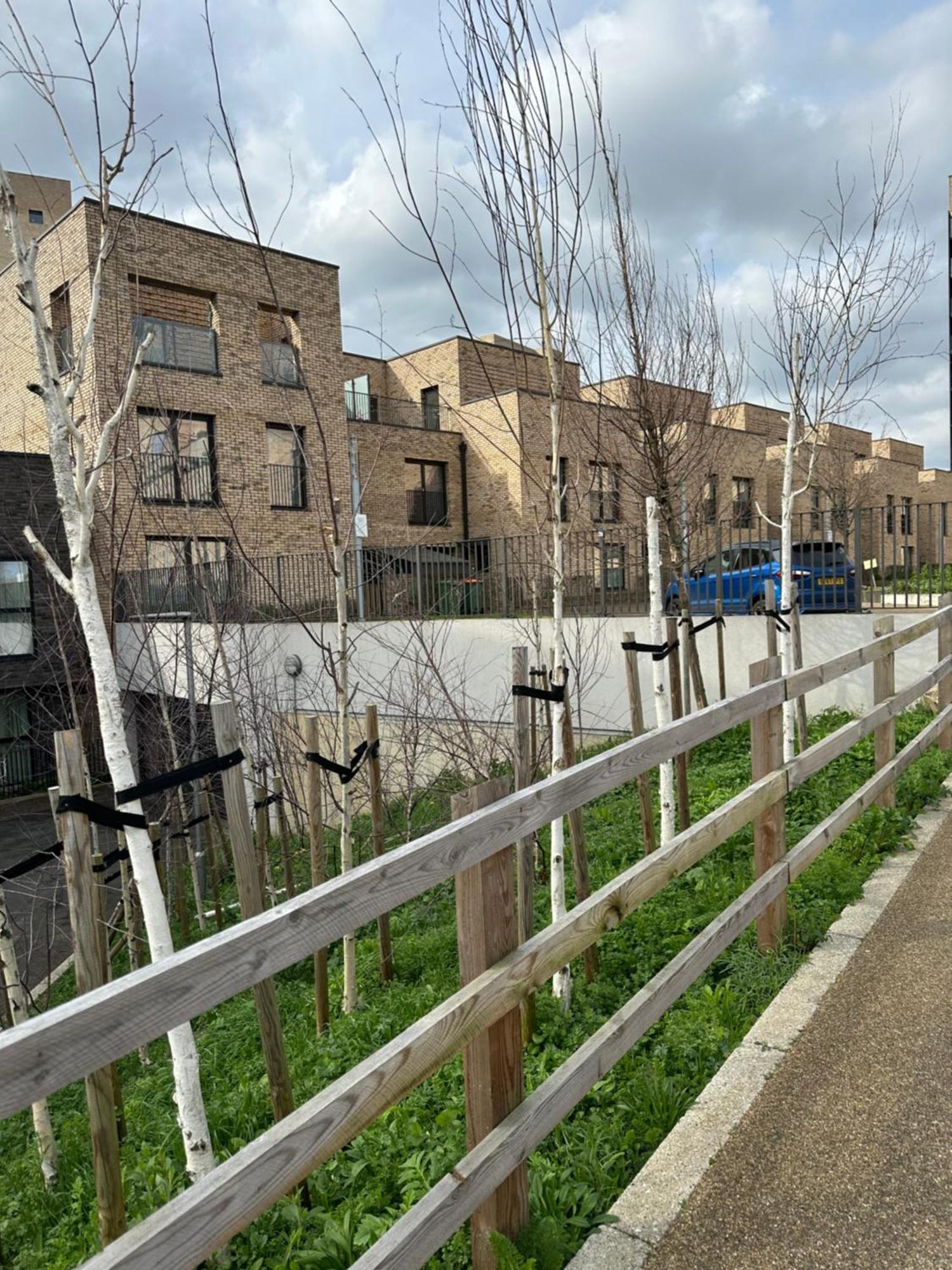 Luxury 3 Bedroom Flat In Stratford,