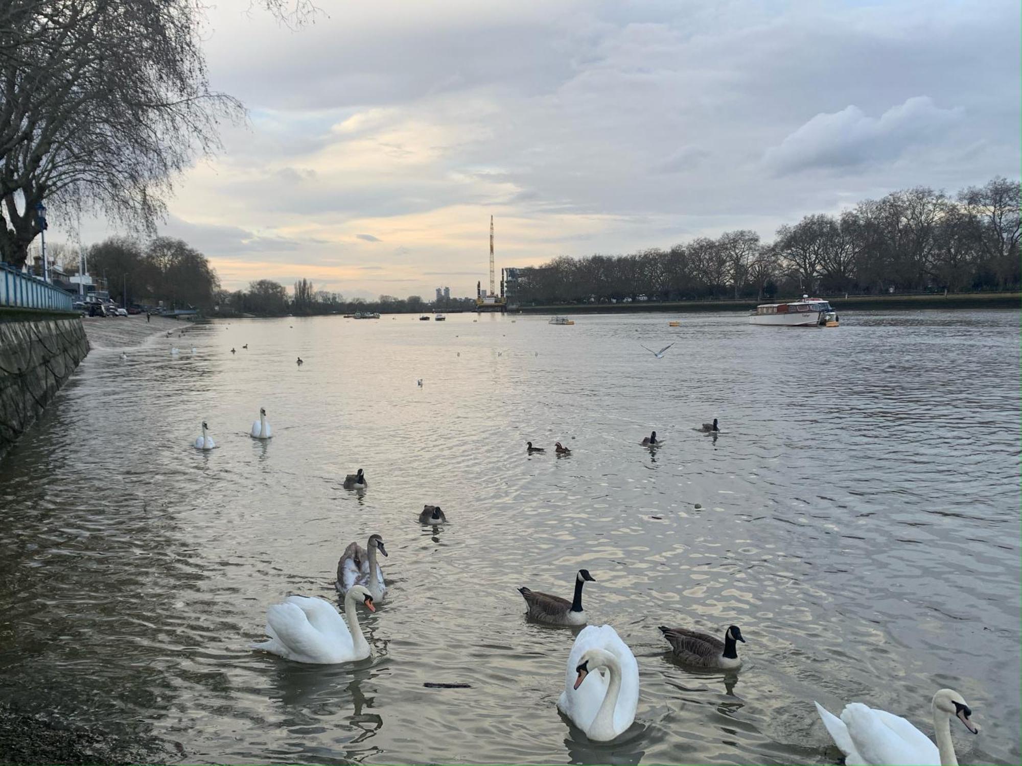 Boutique Putney Riverside Apartamento