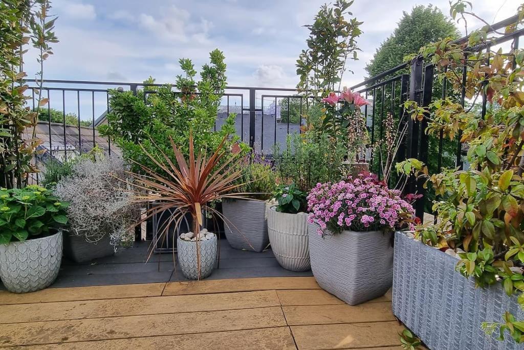 Highgate Maisonette With Roof Terrace Apartamento