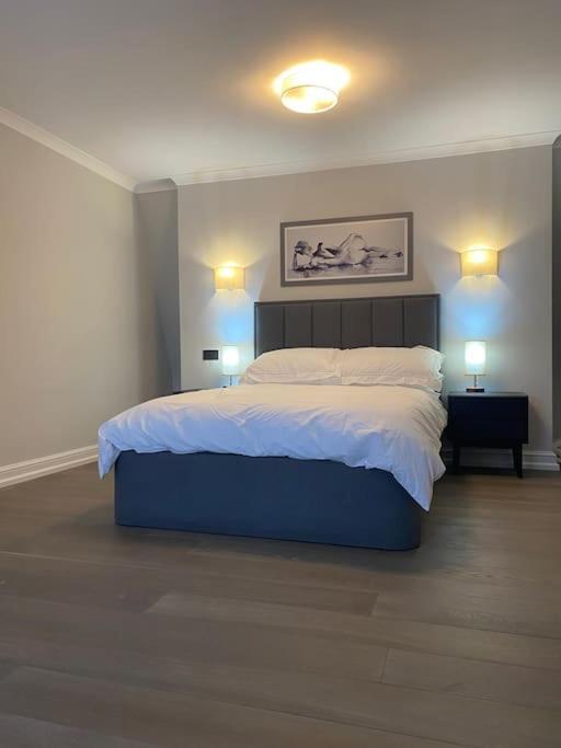 Amazing Newly Refurbished Mews House In W1
