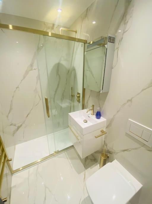 Amazing Newly Refurbished Mews House In W1 *