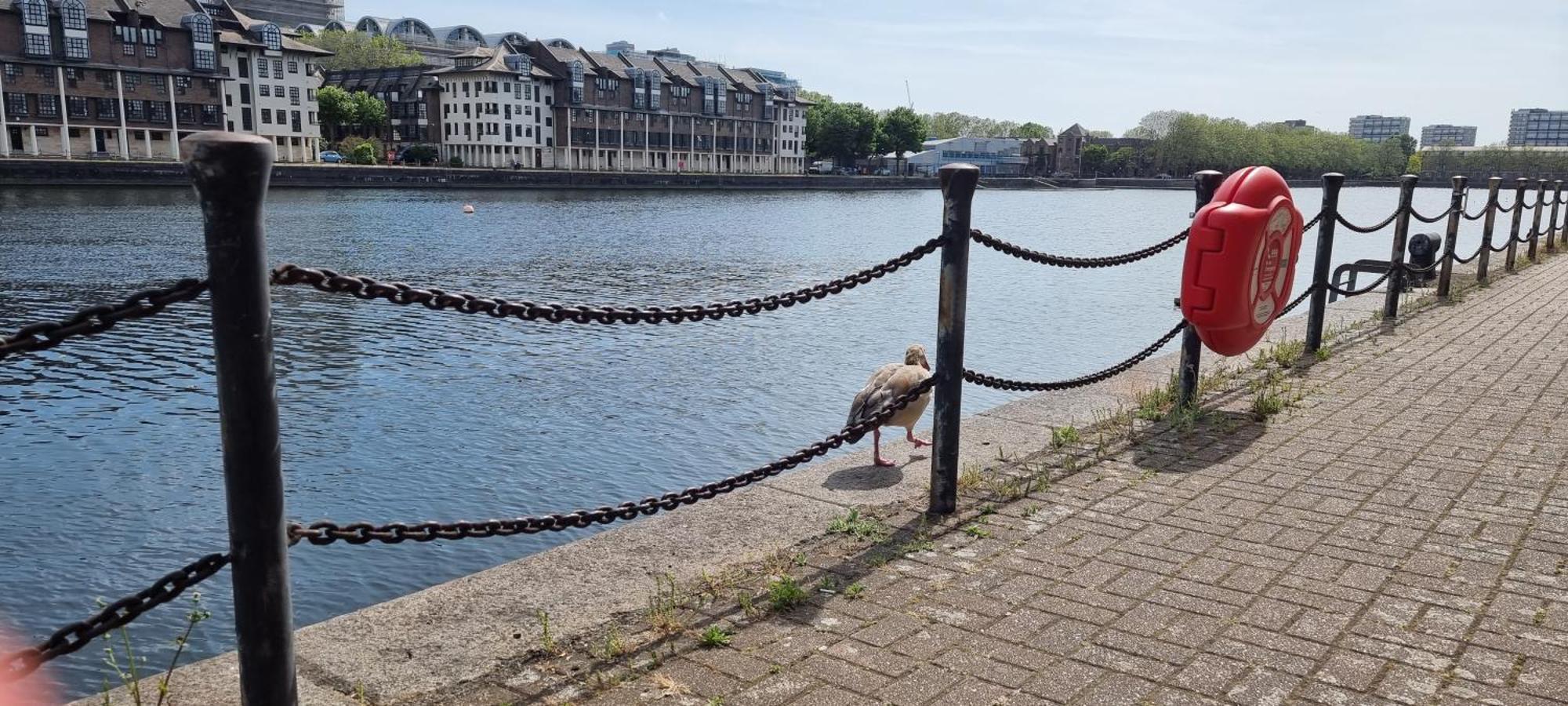 Riverside 1br With Easy Transport 20min To Centre Appartement *