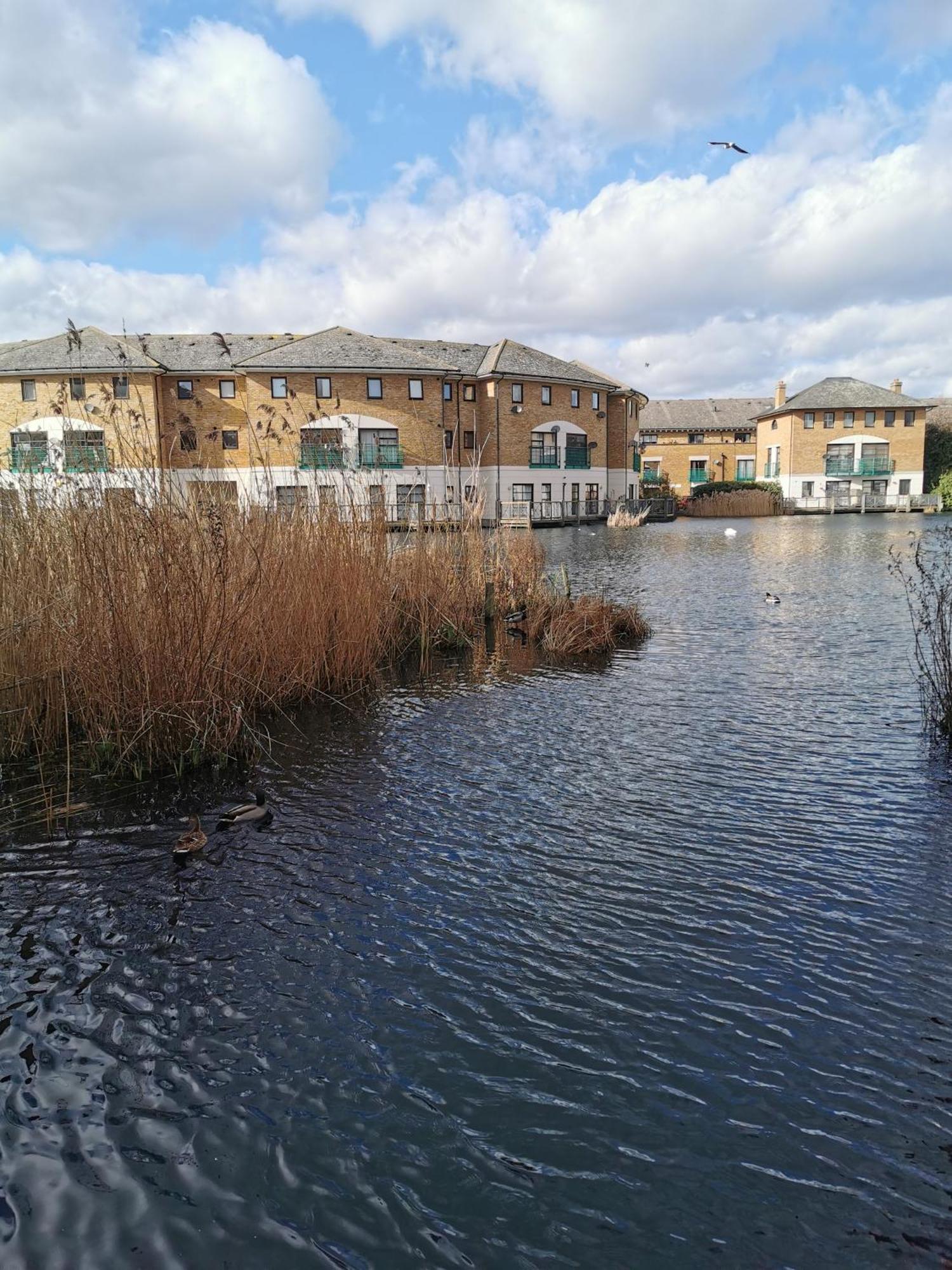Appartement Riverside 1br With Easy Transport 20min To Centre *