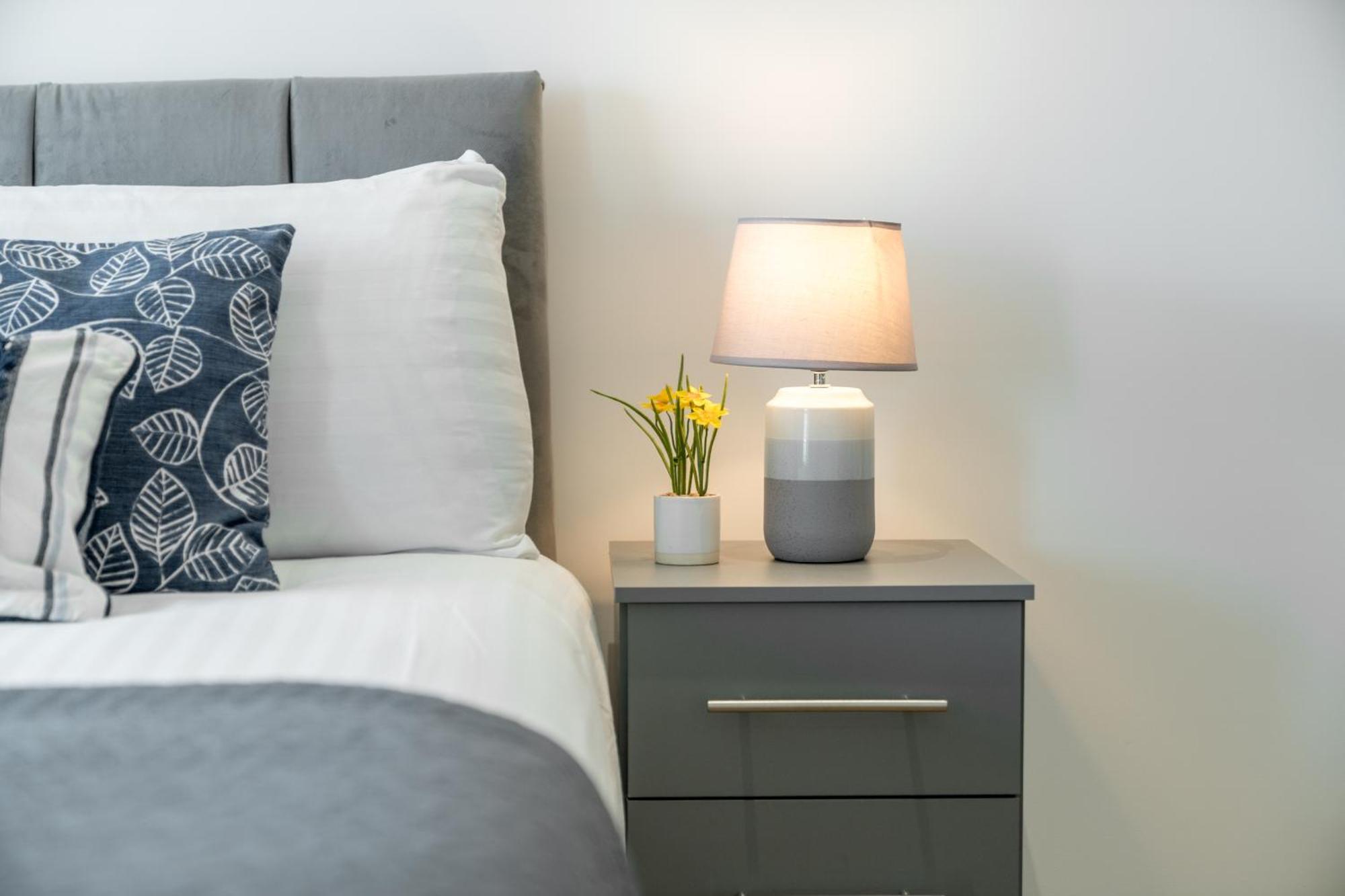 Skyvillion - River Thames Floor By Woolwich Ferry, Mins To Excel, O2 Arena , Airport With Parking Londres