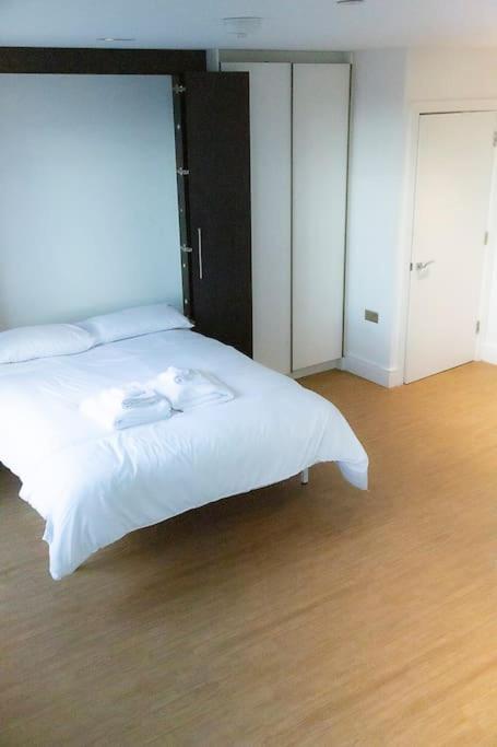 Apartment Charming Studio In Wandsworth, *