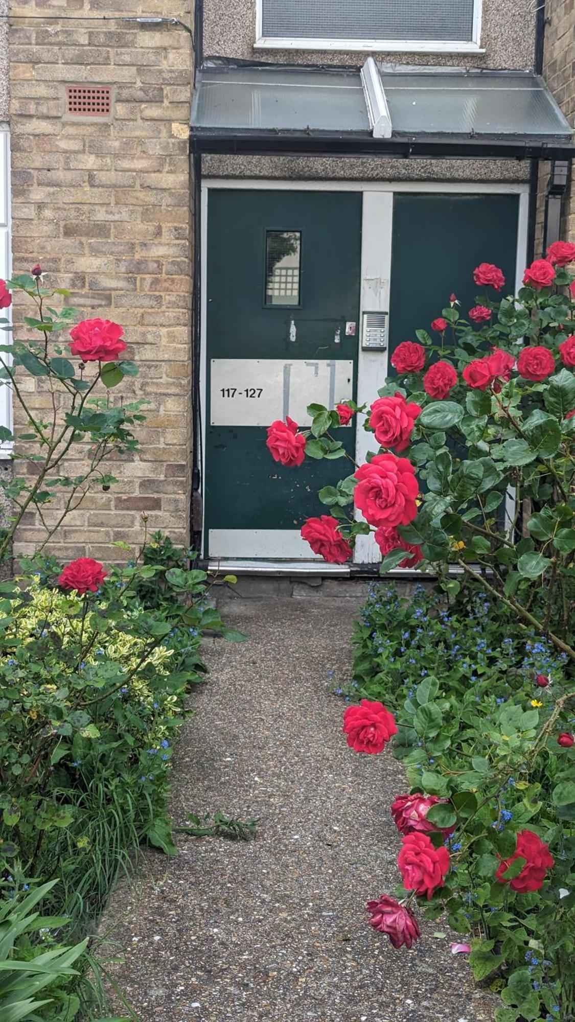 Accommodatie bij particulieren Beautiful Double Bedroom In Shared Flat Near Olympic Park In Stratford *