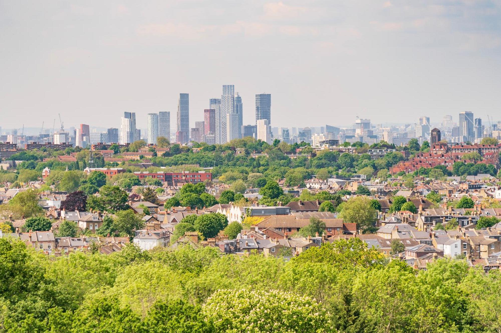 Charming Ldn With Free Parking Appartement Londres