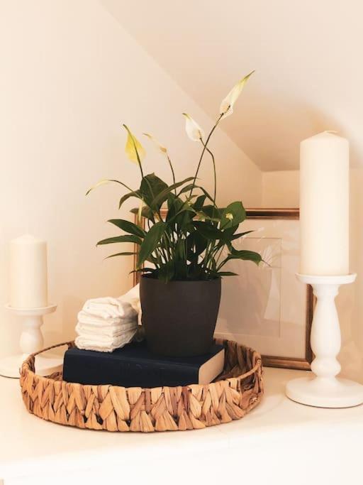 The Sycamore Retreat - Hampstead *