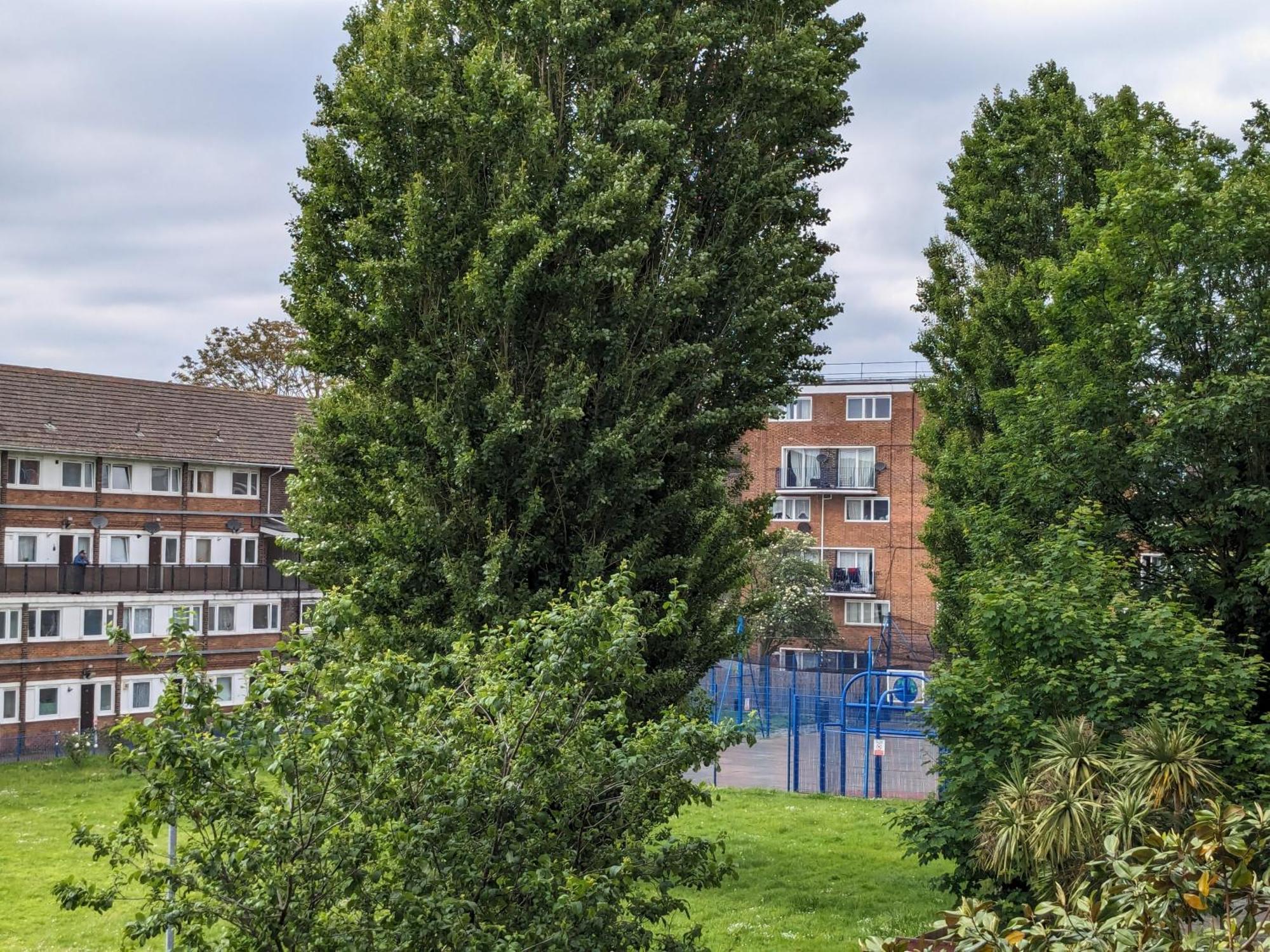 Séjour chez l'habitant Creatives' House Londres