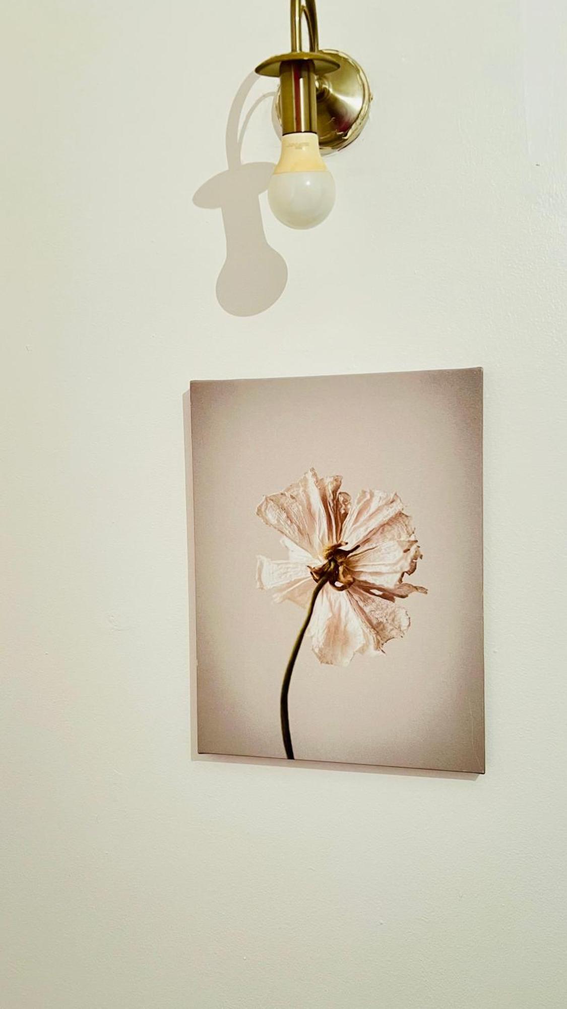 Apartamento Ar7 Londoners Choice *