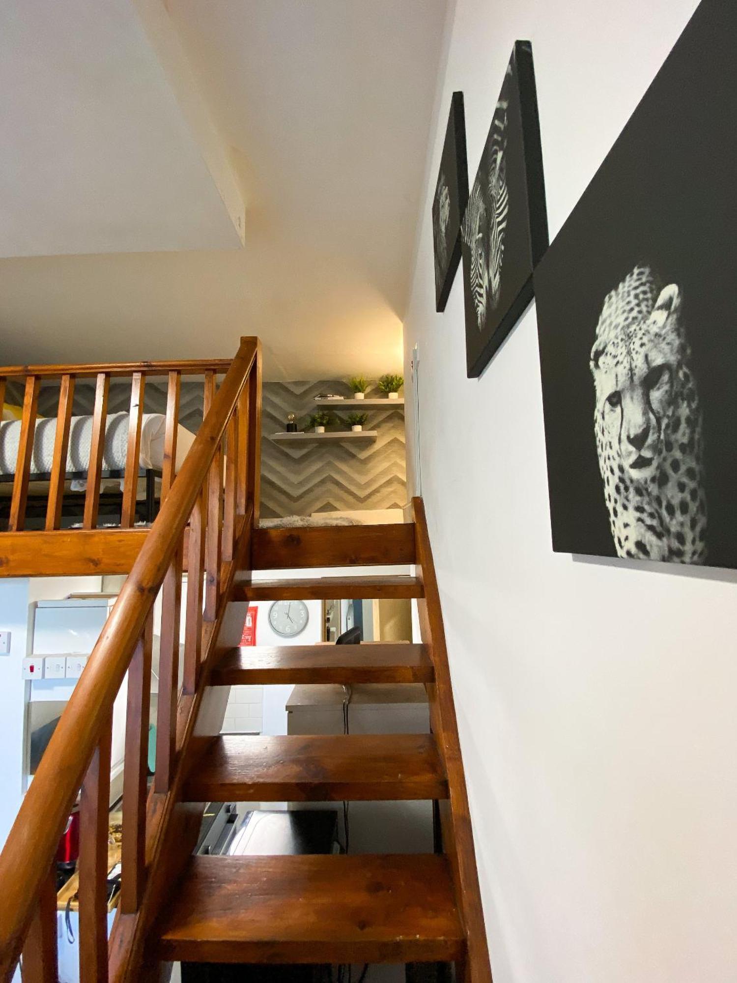 Appartement Modern Queenspark *