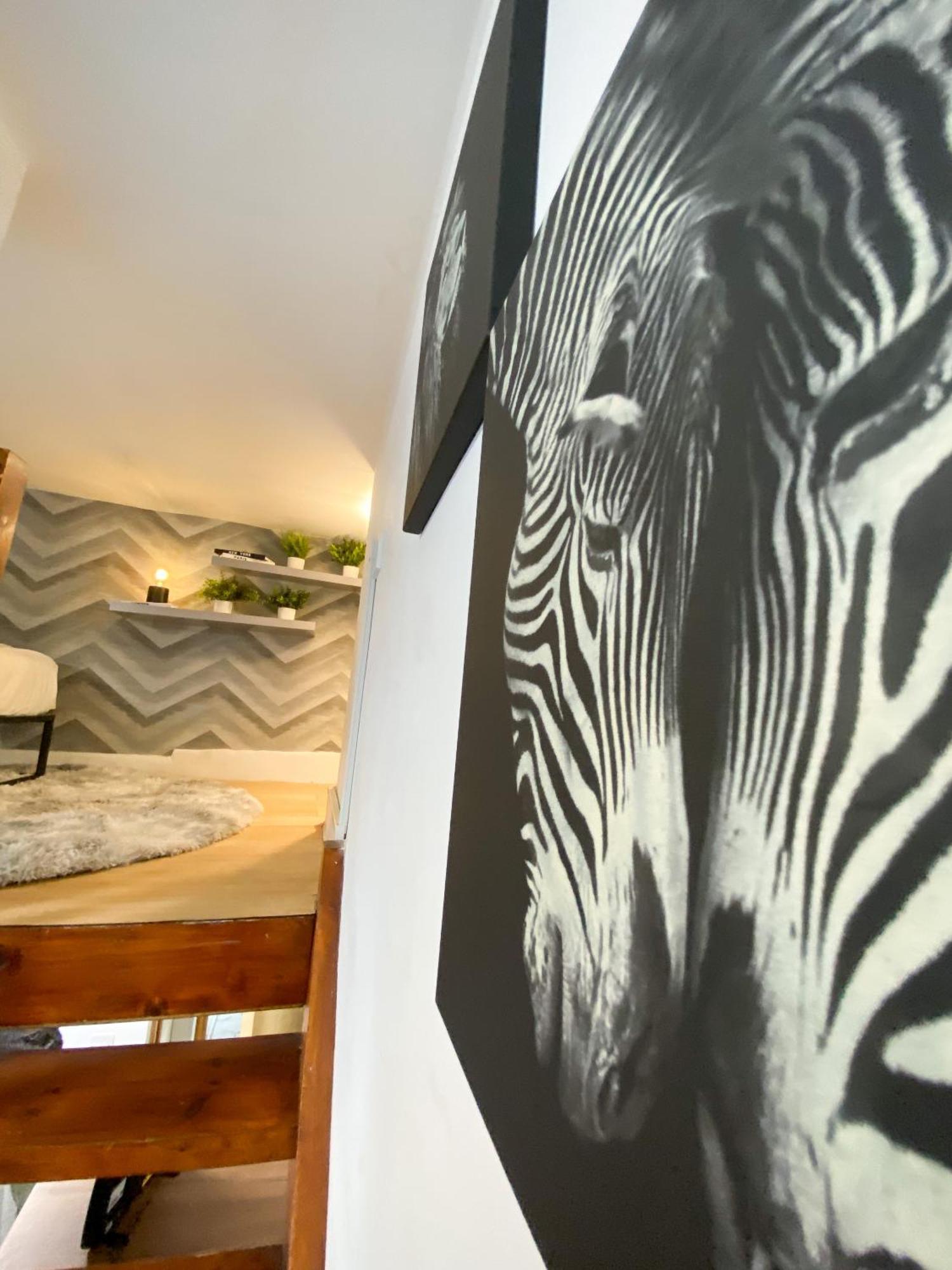 Appartement Modern Queenspark