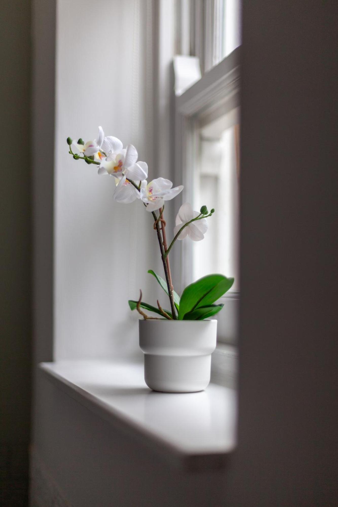 The Hackney Luxury Flat Londres