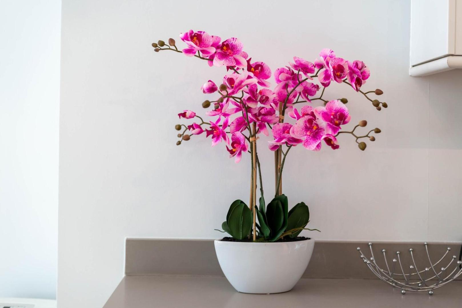 Guestready - Stunning Covent Garden 2br Duplex