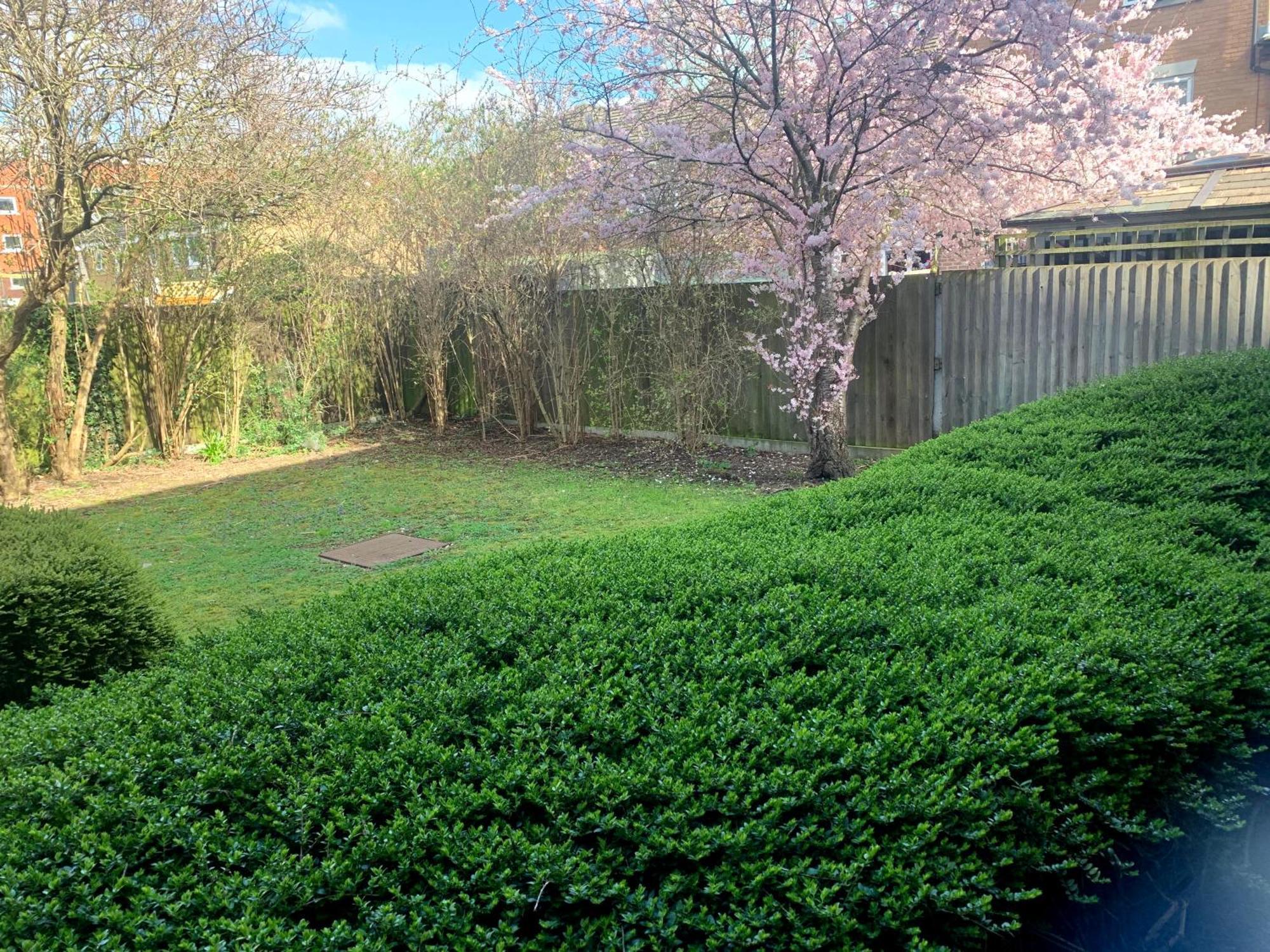 Lovely & Spacious Flat-deptford Creekside Appartement *