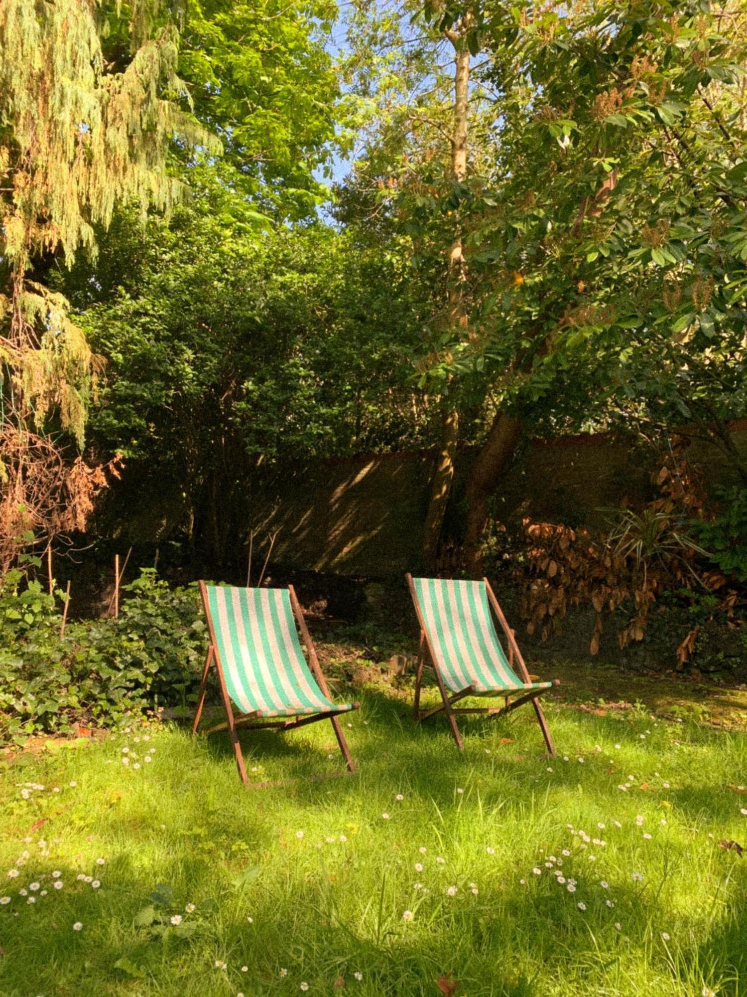 The Garden *