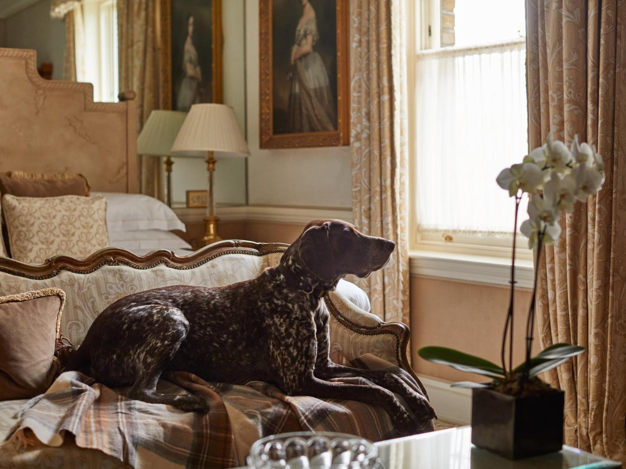 Hotel Egerton House
