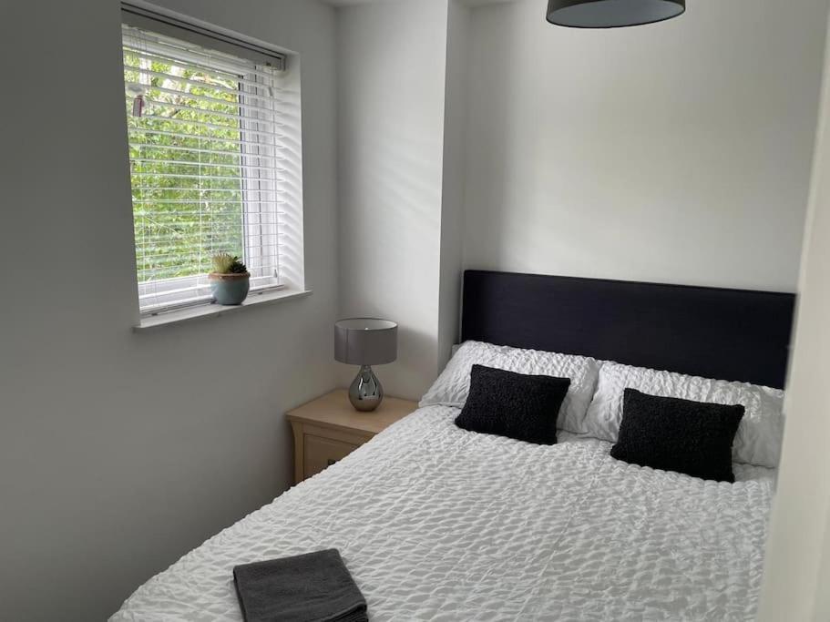 Lovely 1-bedroom In Apartamento Londres