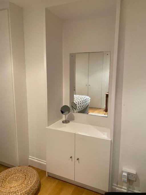 Spacious And Light West Basement Flat Londres
