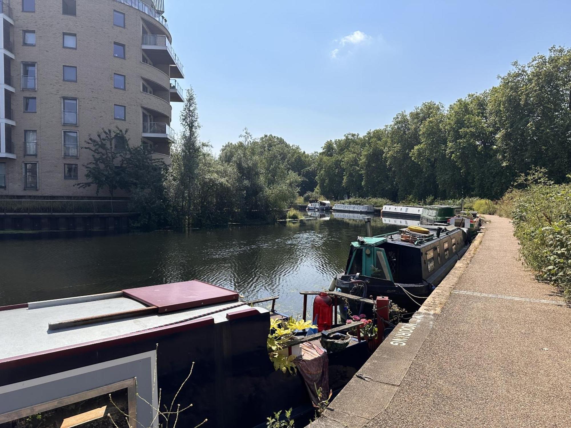 Fenland Hackney *